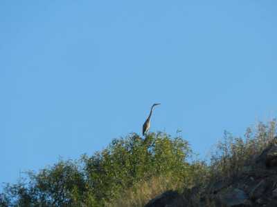 Birdwatching nel Parco di Lama Balice